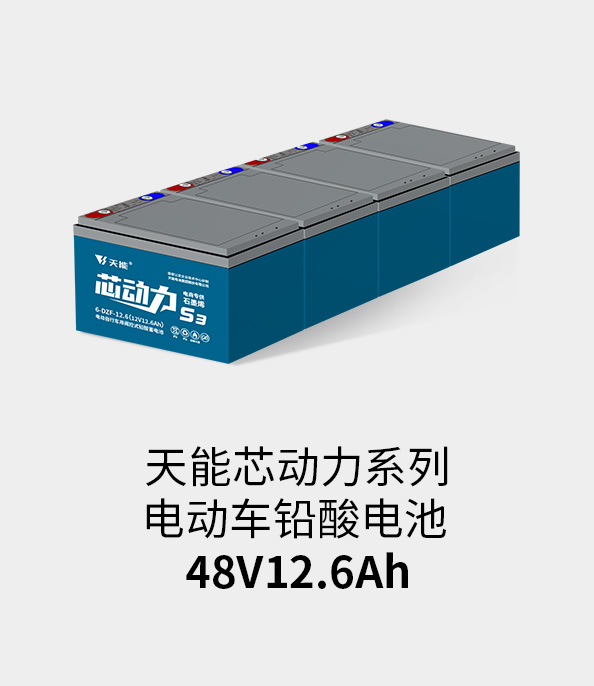 海洋之神电池48v12ah