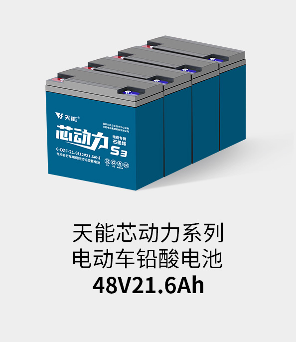 海洋之神电池48v20ah