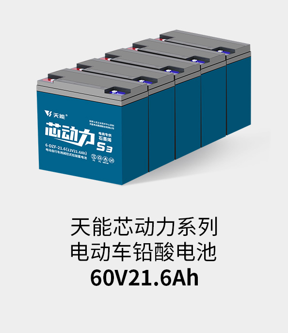 海洋之神电池60v20ah