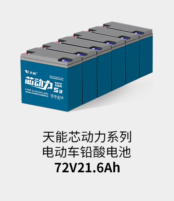 海洋之神电池72v20ah
