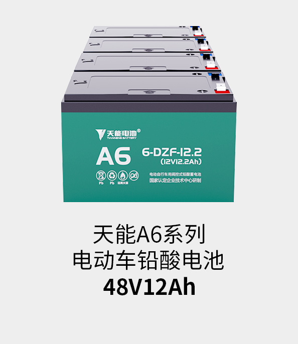 海洋之神电池48v12ah