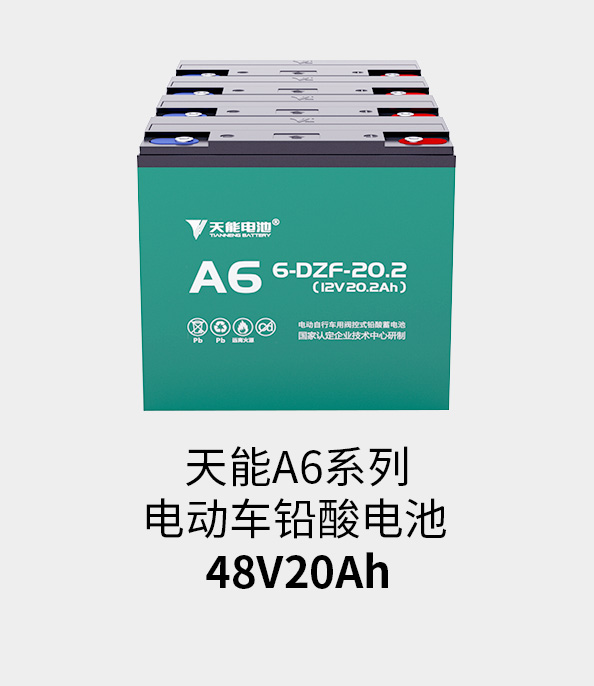 海洋之神电池48v20ah