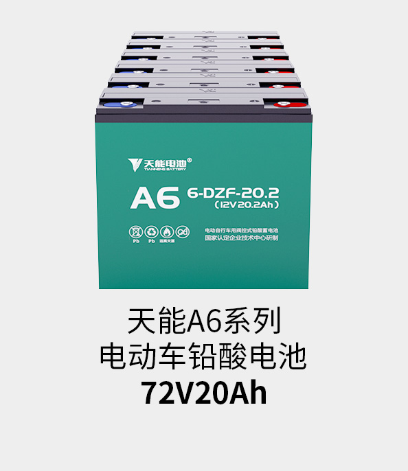 海洋之神电池72v20ah