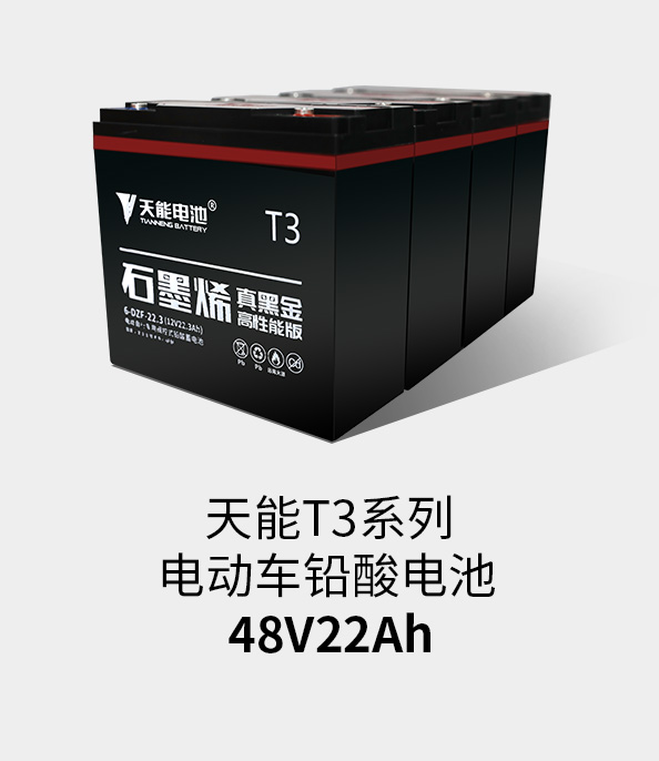 海洋之神T3系列48v22ah