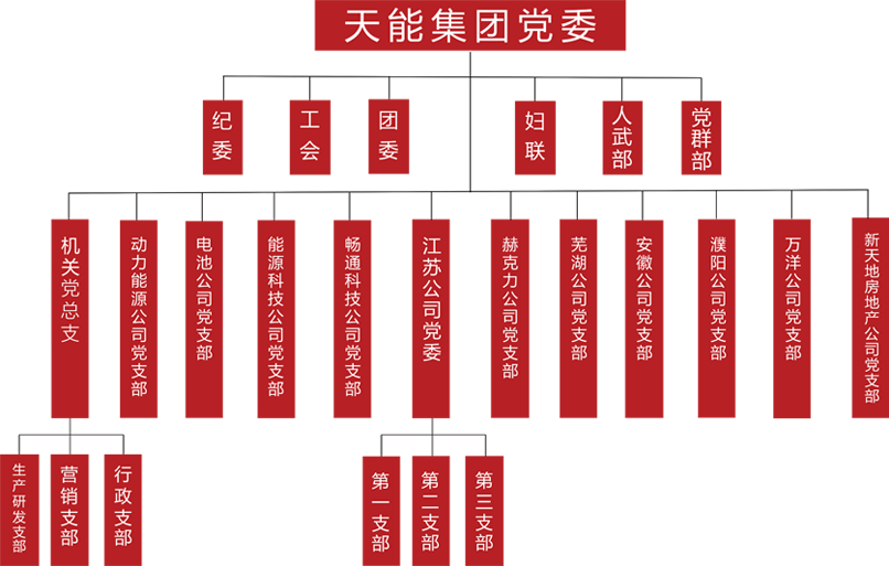 海洋之神建团党委组织架构